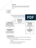 Proceso Presupuestario