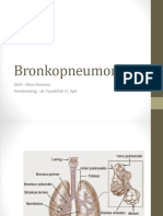 Lapkas Bronkopneumonia