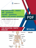 The Skeleton - Parts - WH - Questions - Yes/No - Questions - Match and Answer Questions