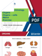 Carrion Sem i - Sesion Viii (1)