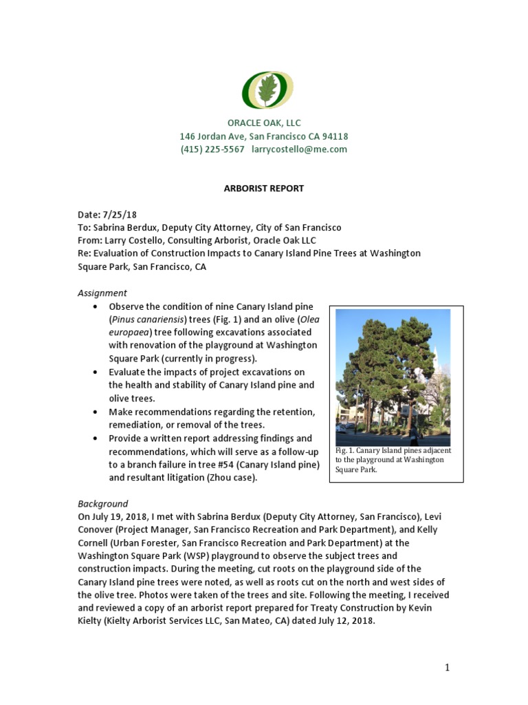Oracle Oak LLC 146 Jordan Ave San Francisco CA 94118: Assignment