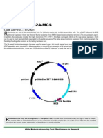 pCHAC mTFP1 2A MCS