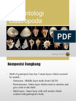 Paleontologi Gastropoda: Geologi UI 2015