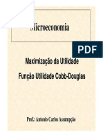 Maxi Cobb-Douglas.pdf