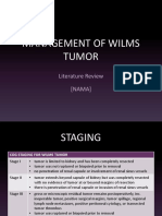 Management of Wilms Tumor: Literature Review (NAMA)