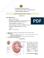 Guia Practica Fisio3