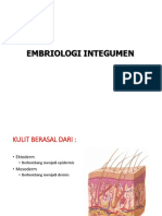 Embriologi Integumen 1