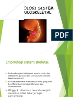 Embriologi Muskuloskeletal