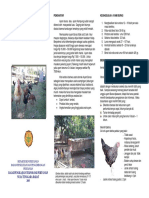 Beternak Ayam Buras [Deptan NTB] [Indonesia].pdf