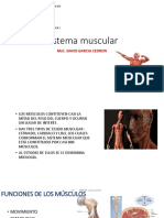 Clase 1. Sistema Muscular