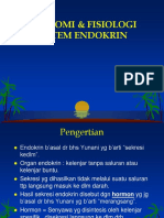 Anfis Endokrin PPT