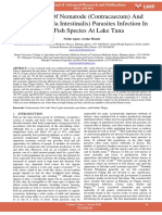 Prevalence of Nematode Contracaecum and Cestode Ligula Intestinalis Parasites Infection in Two Fish Species at Lake Tana