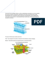 Cell Transport