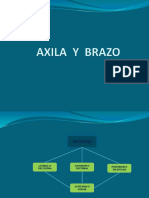 AXILA  Y  BRAZO anatomia.pptx