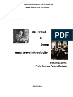 Uma breve introdução a Freud e Jung