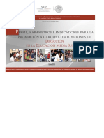 Perfiles Parametros e indicadoresPROMOCION - DIRECCION - EMS - 2018 - 19012018 PDF