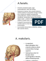 Pembuluh Head and Neck