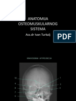 Anatomija Muskuloskeletnog Sistema