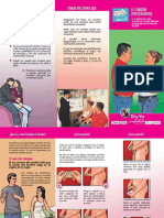 brochures_planificacion.pdf