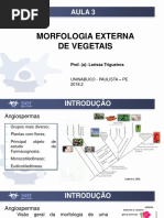 Aula 3_morfologia Externa de Vegetais