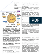 2 ATB y resistencia.pdf