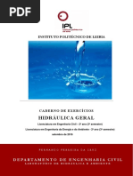 2051 Exercicios MecFluidos Nova Versao