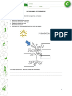 articles-19390_recurso_pdf fotosintesis preguntas.pdf