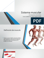 Sistema muscular.pptx