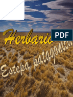 Herbario Estepa Patagonica