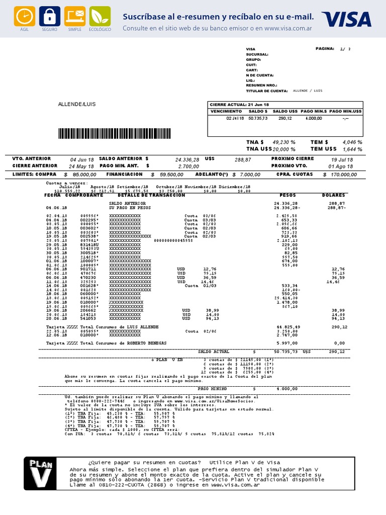 Resumen Visa PDF Pagos Economias