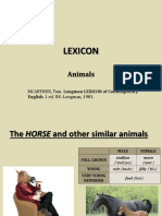 Lexicon - Animals