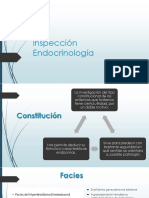 Inspección Endocrinologia