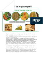 Alimentos de Origen Vegetal