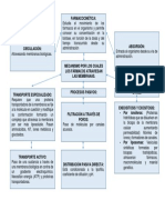 Proceso de Celulas