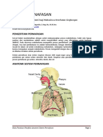 sistem-pernafasan.docx