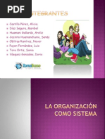 La Organizacion Como Sistema