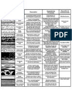 Belt SedStruct PDF