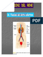 06 Dotto collettore 19.pdf