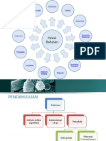 Eritrasma: Panduan Diagnosis dan Penatalaksanaan