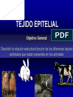 Tejido_Epitelial.pdf