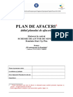 Plan Afaceri VI