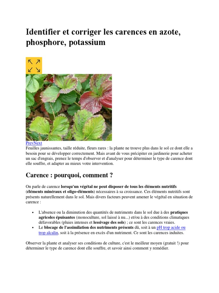 Carences en nutriments des plantes N, P, K PDF Fertilisant — free download