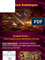 Evolusi Terbentuknya Bakteri