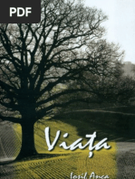 Viata Continua In Eternitate Ciprian Ilies