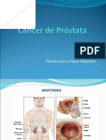 Ca Prostata