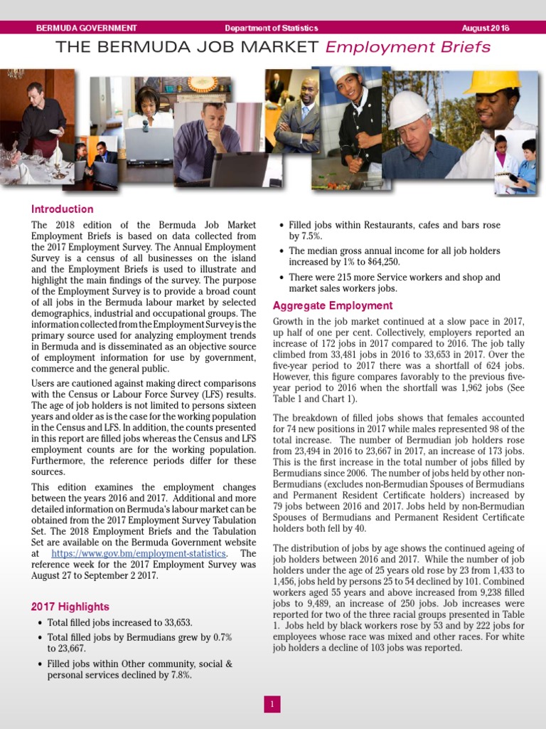 The Bermuda Job Market Employment Briefs PDF Bermuda Workforce