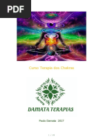 Terapia Dos Chakras - Curso Basico