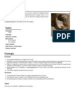 Lágrima.pdf