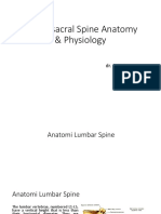 Anatomy Fisiologi Spine Lumbosacral