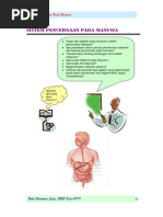 Download Bab 5-VIII Sistem Pencernaan Pada Manusia Sisca by Siti Khomar SN38723895 doc pdf